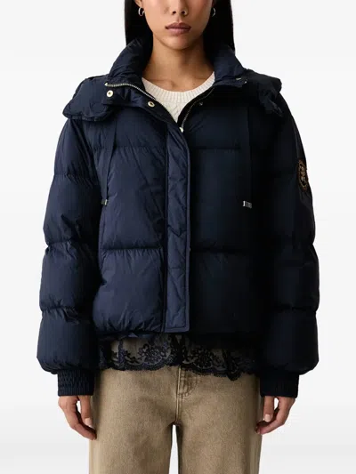 Ermanno Firenze Lace-trim Hooded Puffer Jacket In Blue