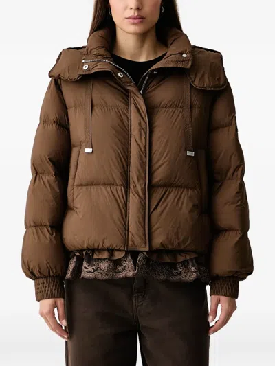Ermanno Firenze Lace-trim Hooded Puffer Jacket In Brown