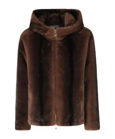 Ermanno Firenze Faux-fur Hooded Jacket In Brown