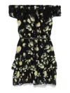 Ermanno Firenze Floral-print Dress In Multi