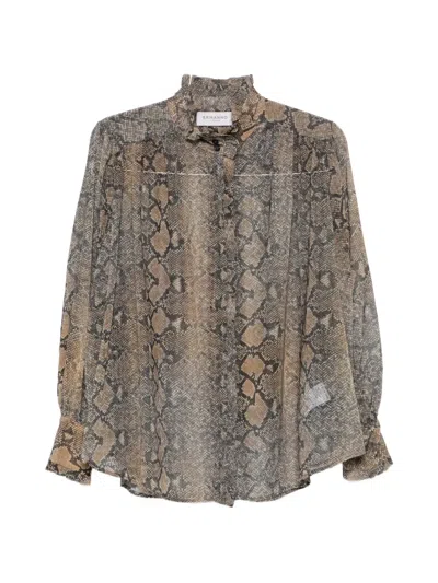 Ermanno Firenze 러플 스네이크 프린트 셔츠 In Brown