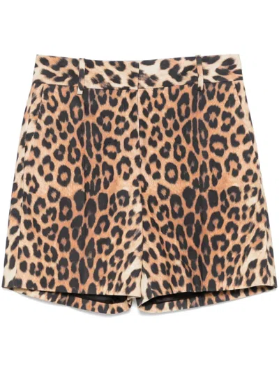 Ermanno Scervino Animal-print Shorts In Brown