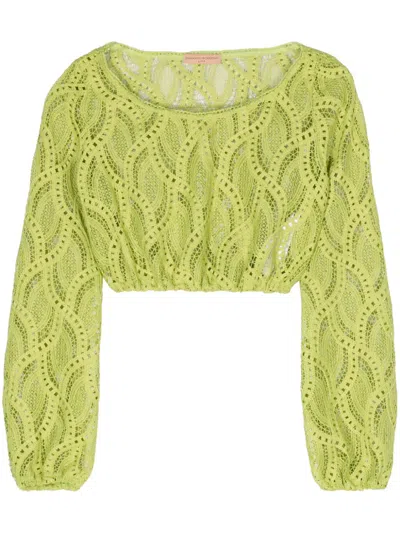 Ermanno Scervino Embroidered Cropped Top In Green