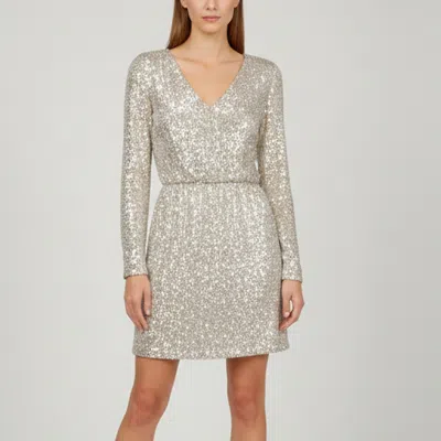 Pre-owned Ermanno Scervino Ermano Scervino Silver Sequins Embellished Nylon Mini Dress S