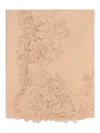 Ermanno Scervino Floral-lace Scarf In Brown