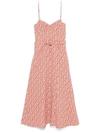 Ermanno Scervino Floral-print Midi Dress In Pink