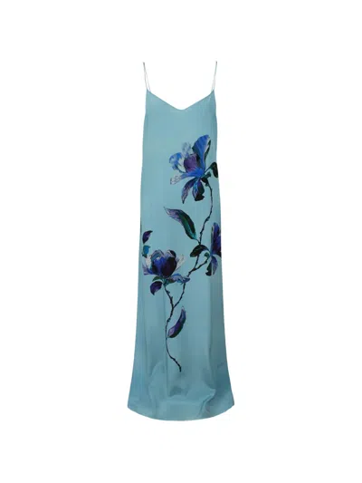 Ermanno Scervino Floral-print Maxi Dress In Blue