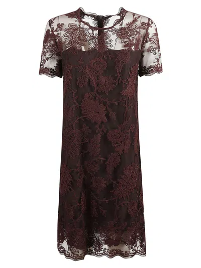 Ermanno Scervino Laced Short Dress In Brown