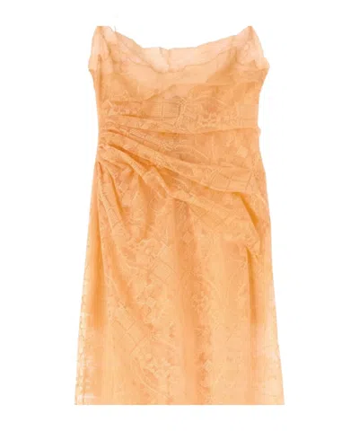 Ermanno Scervino Lace-draped Maxi Dress In Brown