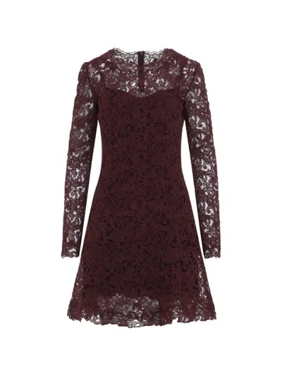 Ermanno Scervino Lace Mini Dress Fitted Bodice Silhouette In Burgundy