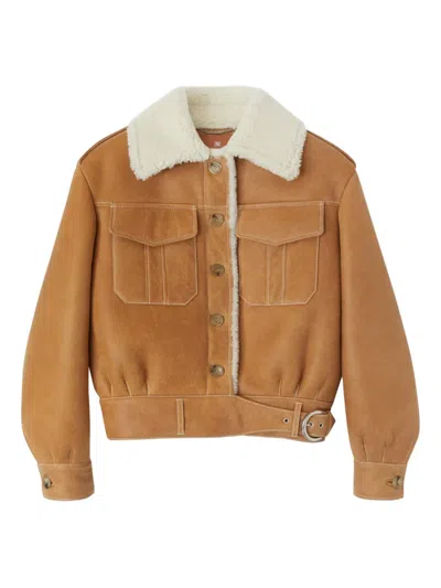 Ermanno Scervino Shearling-collared Belted Jacket In Brown