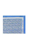 Ermanno Scervino Scarf In Blue