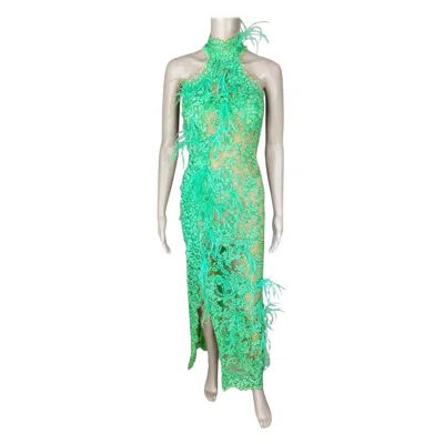Pre-owned Ermanno Scervino S/s 2022 Ostrich Feathers Sheer Floral Lace Evening Dress In Green