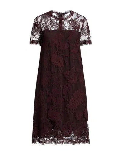 Ermanno Scervino Woman Midi Dress Burgundy Size 8 Cotton, Polyamide, Polyester In Brown