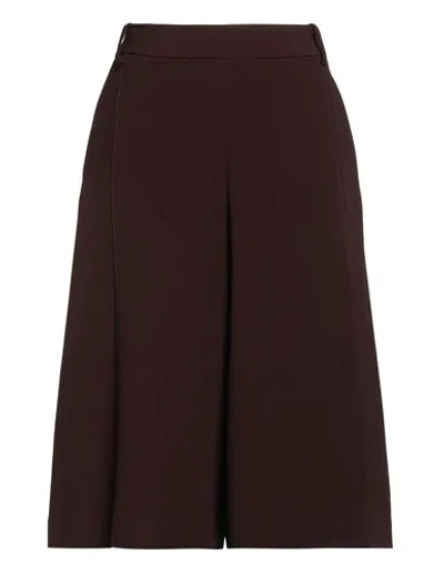 Ermanno Scervino Woman Shorts & Bermuda Shorts Chocolate Brown Size 6 Viscose, Acetate