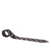 Ermenegildo Zegna Brown Diagonal Striped Traditional Silk Tie In Brown