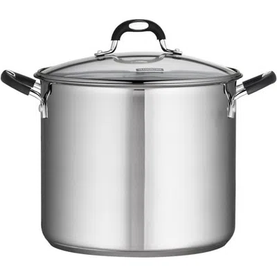 Eruule 12 Quart Covered Stock Pot In Silver