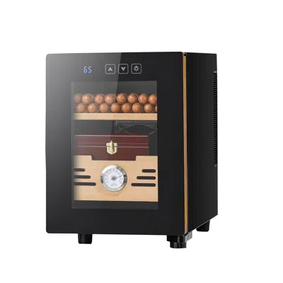 Eruule Electric Humidor, 16l, 100 Counts Electric Cigar Humidor Cabinet With Cooling Temperature Control, S In Black