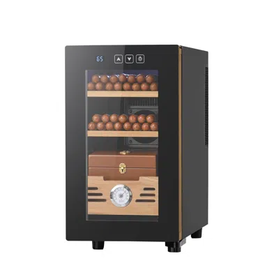 Eruule Electric Humidor, 23l, 150 Counts Electric Cigar Humidor Cabinet With Cooling Temperature Control, S In Black