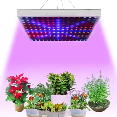 Eruule Full Spectrum Grow Light Led Grow Light Hanging 225 Leds Plant Grow Lamp Indoor Grow Light In Multi