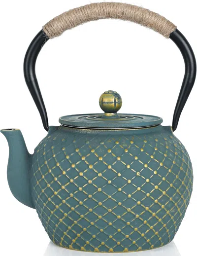 Eruule Japanese Style Cast Iron Teapot For Stove Top With Stainless Steel Infuser Loose Leaf Tetsubin Grid 