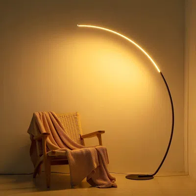 Eruule Rgbw Modern Curve Floor Lamp New Version In Black