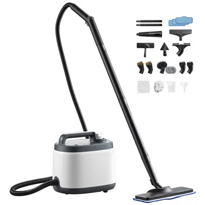 Eruule Steam Cleaner, 51 oz Tank, Steamer For Cleaning With 19 Accessories, Extended Power Cord And Hose, P In Gray