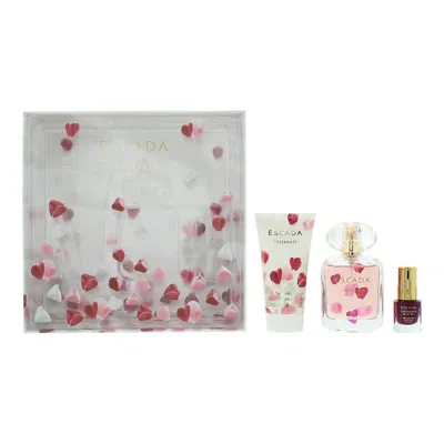 Escada Ladies Celebrate N.o.w Celebrate Gift Set Fragrances 8005610590622