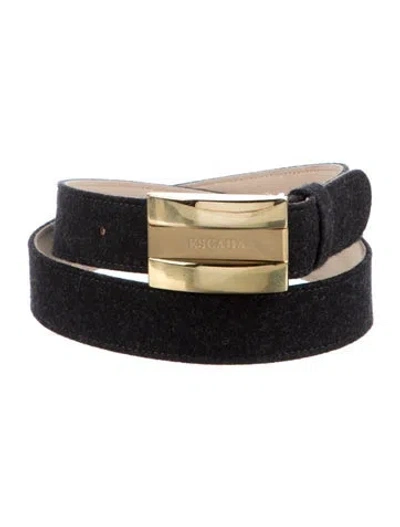 Pre-owned Escada Suede Waist Belt In Grey