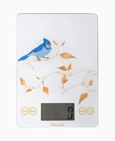 Escali Arti Blue Jay Glass 9" Digital Food Scale In White