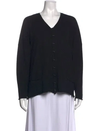Pre-owned Eskandar Cashmere V-neck Sweater In Blue
