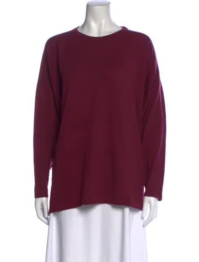 Pre-owned Eskandar Crew Neck Long Sleeve Top In Burgundy