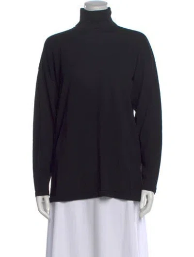 Pre-owned Eskandar Merino Wool Turtleneck Sweater In Blue