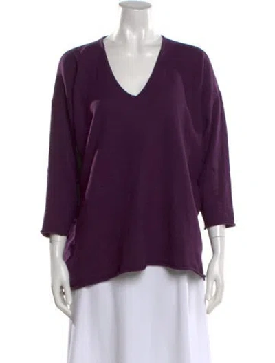 Pre-owned Eskandar Merino Wool V-neck Sweater In Purple