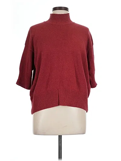Pre-owned Eskandar Turtleneck Sweater In Burgundy