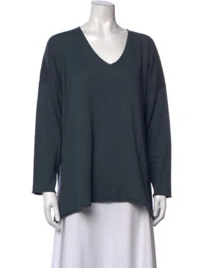 Pre-owned Eskandar V-neck Sweater In Blue
