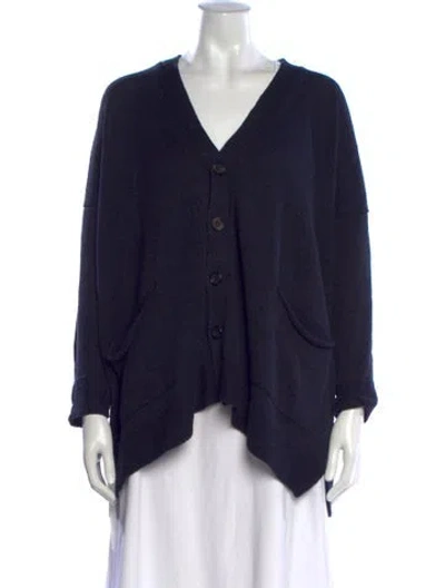 Pre-owned Eskandar V-neck Sweater In Blue