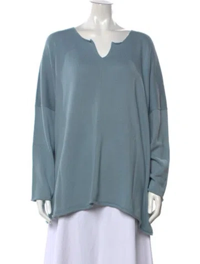 Pre-owned Eskandar V-neck Sweater In Blue