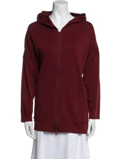 Pre-owned Eskandar V-neck Sweater In Burgundy