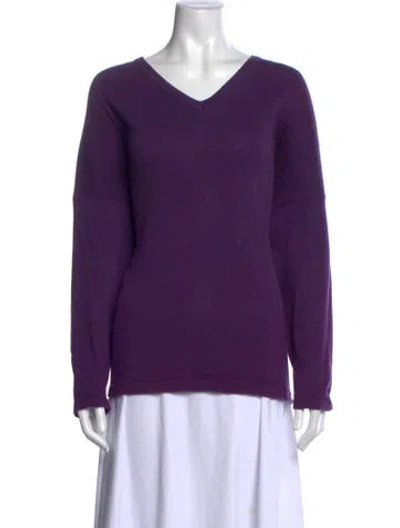 Pre-owned Eskandar V-neck Sweater In Purple