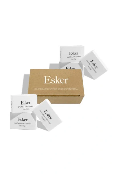 Esker Aromatic Shower Steamer Refills In White