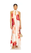 Especia Acidic Long Dress