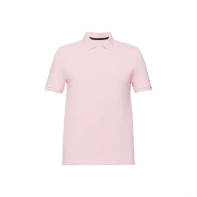 Esprit Cotton Polo Shirt In Pink