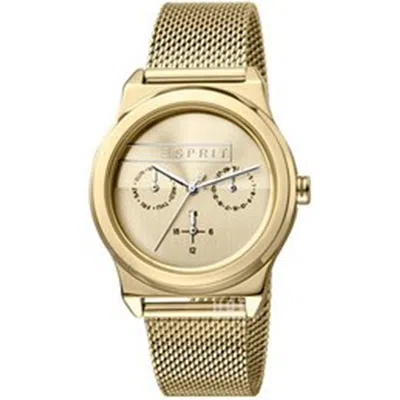 Esprit Ladies' Watch  Es1l004m0045 Gbby2 In Gold