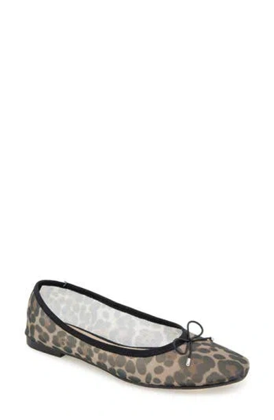 Esprit Nirvana Mesh Ballet Flat In Animal Print