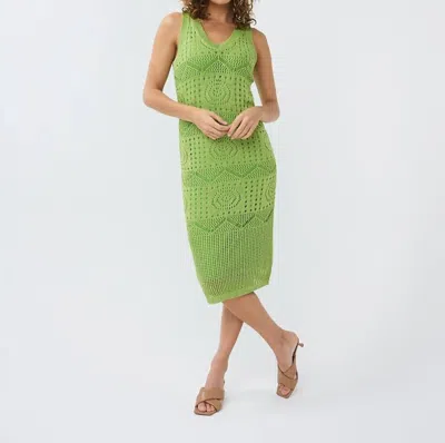 Esqualo Ajour Knit Dress In Kiwi Green In Multi