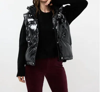Esqualo Bodywarmer Short Vest In Black