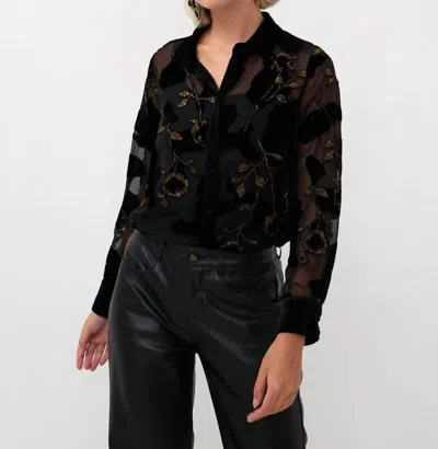 Esqualo Burnout Flower Blouse In Black
