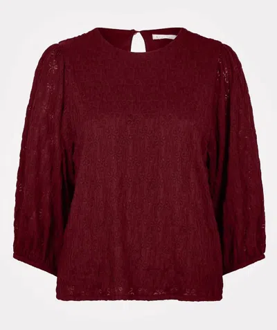 Esqualo Fancy Knit Blouse In Wine Red In Burgundy