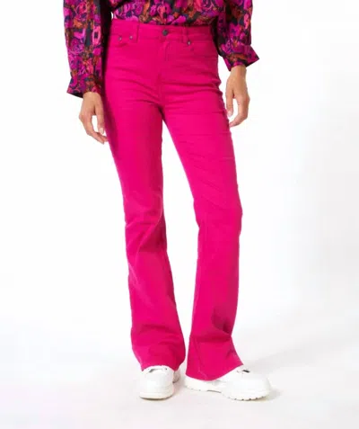 Esqualo Felizia Colored Flare Denim Trousers In Fuchsia In Pink
